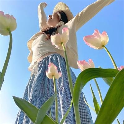 军犬麦克斯2:白宫英雄